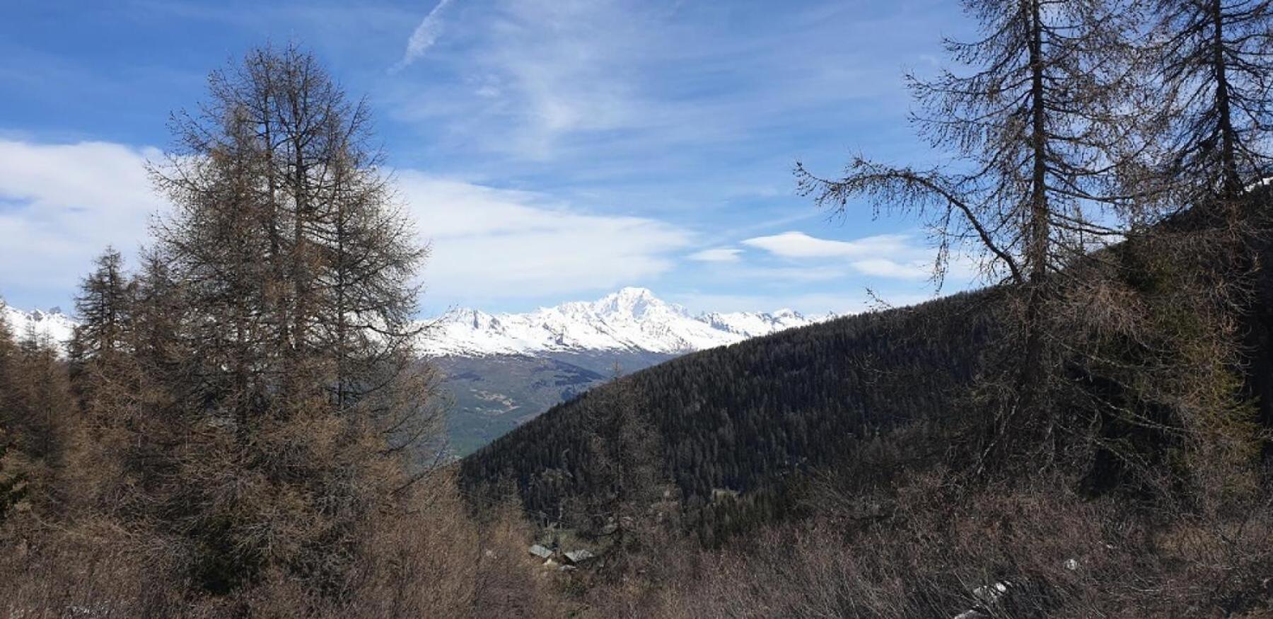 Residence Plagne Lauze - Maeva Home - Studio 2 Personnes - Selection Mae-9201 Macot-la-Plagne ภายนอก รูปภาพ